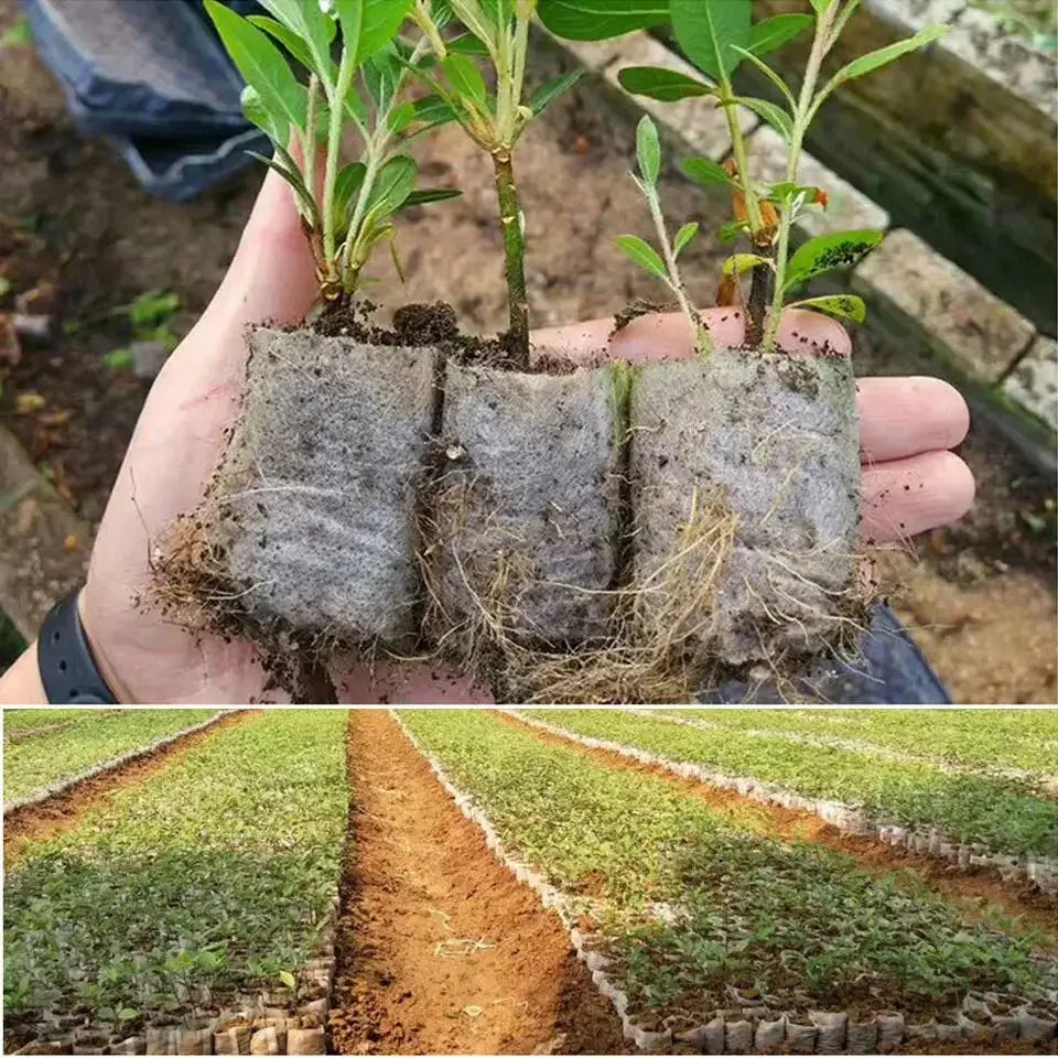 Biodegradable Seedling Nursery Bags - Non-Woven - X100