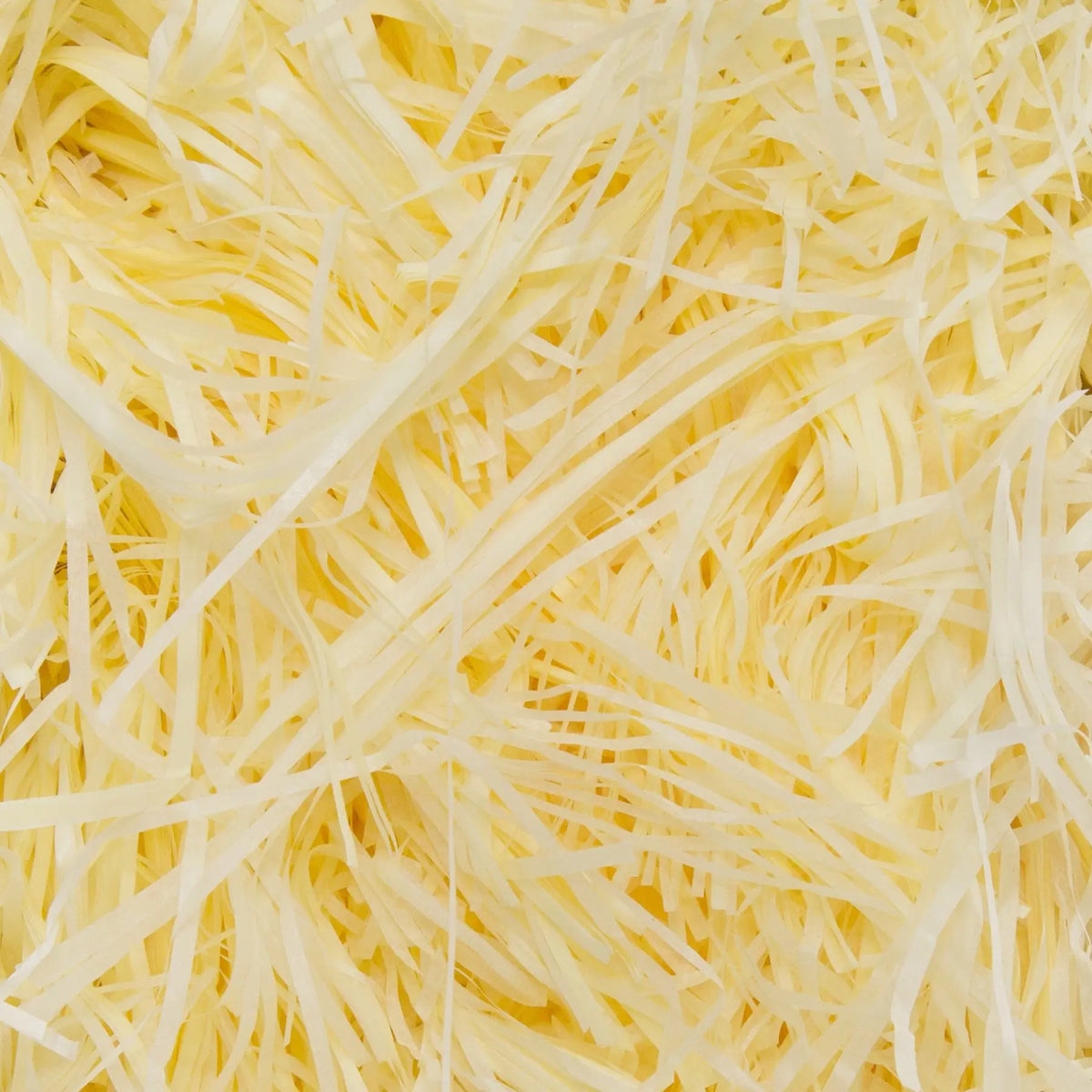Raffia Shreds Bags - 100g - Mixed Colours
