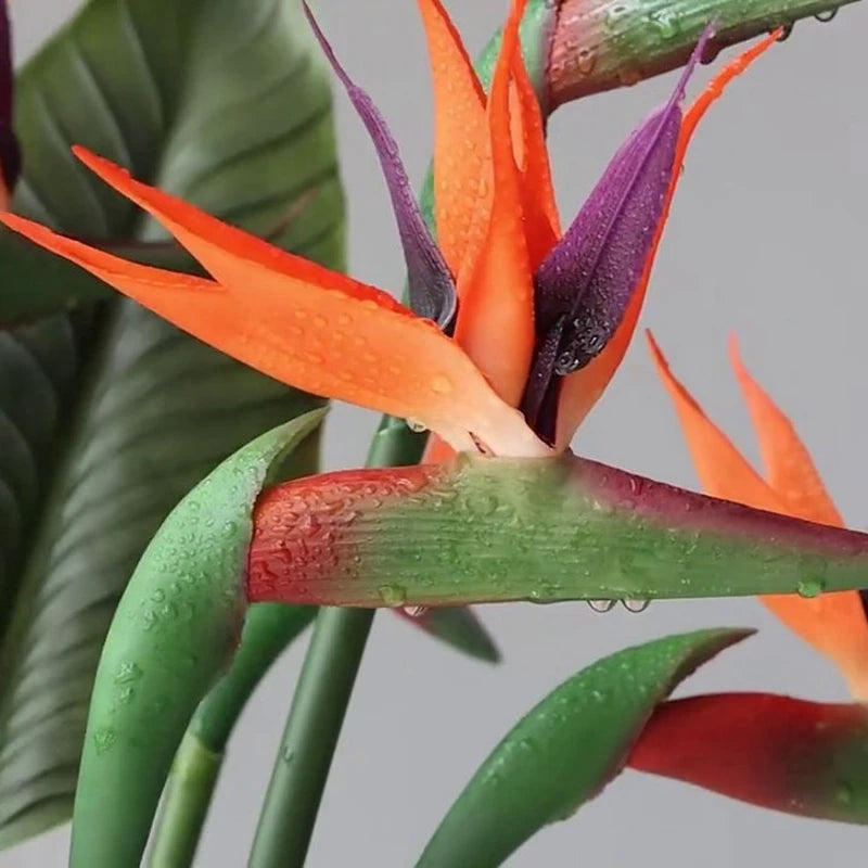 Artificial Strelitzia Stem - Birds of Paradise - 87cm