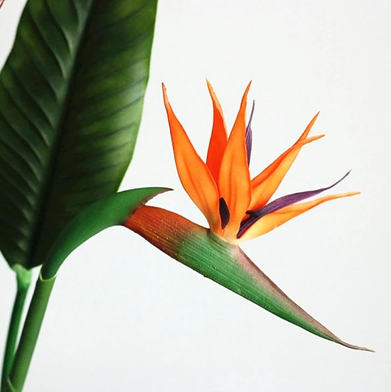 Artificial Strelitzia Stem - Birds of Paradise - 87cm